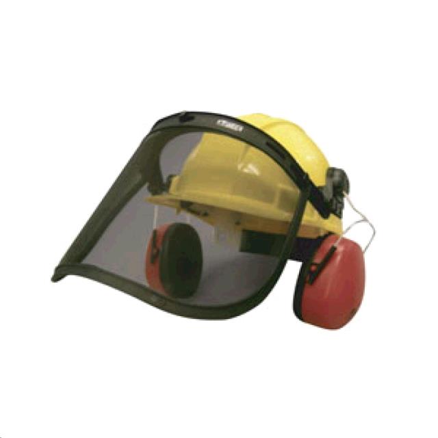 Rental store for EAR MUFF   FACE SHIELD COMBO in Novato CA